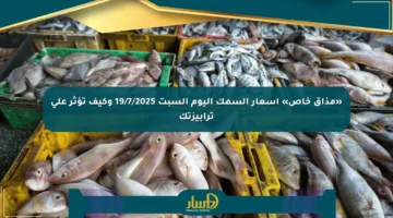 «مذاق خاص» أسعار السمك اليوم السبت 19/7/2025 وكيف تؤثر على ترابيزتك